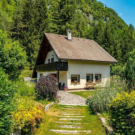 Hisa Nasproti Sonca Villa Kranjska Gora Luaran gambar